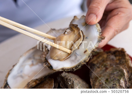 Grilled oysters 50320756