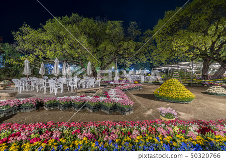 Ashikaga Flower Park 50320766