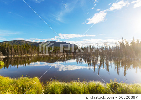 Lake in Alaska Lake in Alaska 50320887