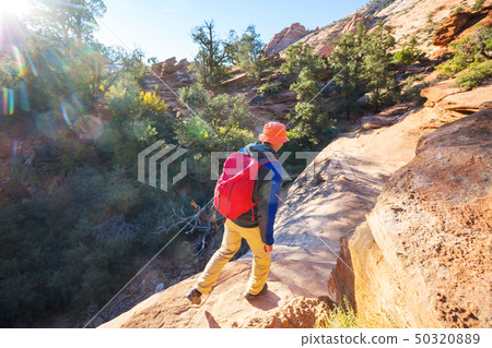 Hike in Zion Hike in Zion 50320889