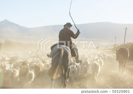 Gaucho Gaucho 50320901