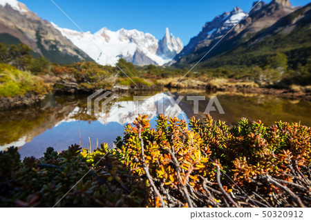 Cerro Torre 50320912