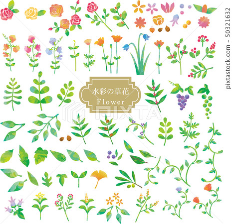 Watercolor flower set Watercolor flower set 50321632