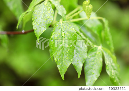 Eco image and water droplets 50322331