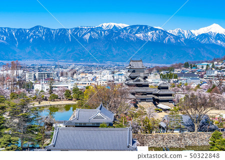 Matsumoto Castle and city area seen from Matsumoto City Office observation deck [Nagano Prefecture] 50322848