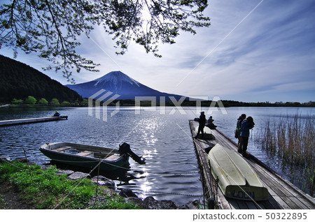 春天美麗的風景富士（Lake Tanuki） 50322895