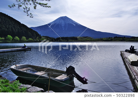 Spring beautiful scenery Fuji (Lake Tanuki) 50322898