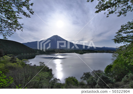 Spring beautiful scenery Fuji (Lake Tanuki) Spring beautiful scenery Fuji (Lake Tanuki) 50322904