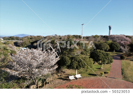 Iwaki Marine Tower of Iwaki City Misaki Park 50323053