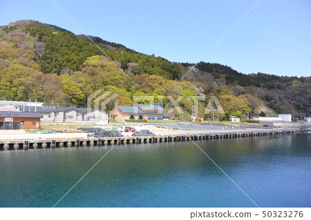 Uchiura Port in Kashiwajima 50323276