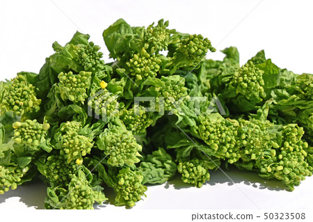 Natsuka (Nana) Natsuka (Nana) 50323508