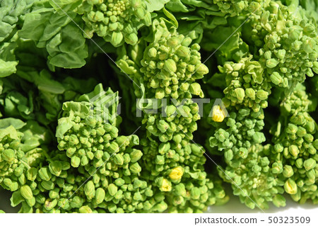 Natsuka(娜娜) Natsuka(娜娜) 50323509