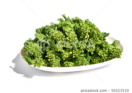 Natsuka (Nana) 50323510