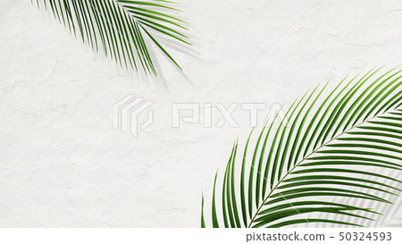 背景 - 南 - 夏天 - 海灘 - 白牆 50324593