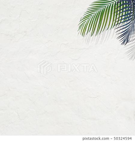 背景 - 南 - 夏天 - 海灘 - 白牆 50324594