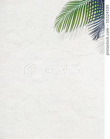 背景 - 南 - 夏天 - 海灘 - 白牆 50324595
