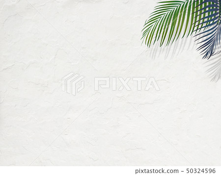 Background-Southern-Summer-Beach-White Wall Background-Southern-Summer-Beach-White Wall 50324596