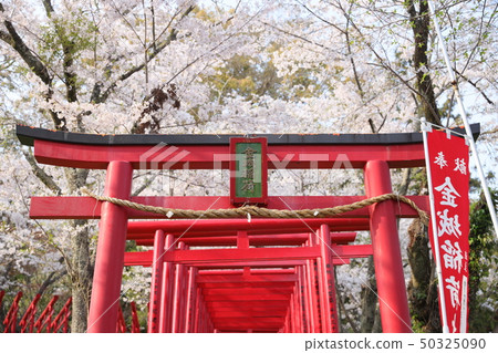 Iwamizu Temple Kinjo Inari 50325090