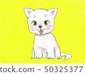 White cat 50325377