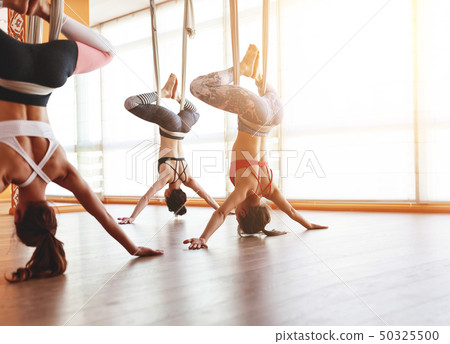 group of people engaged in a class of yoga Aero in group of people engaged in a class of yoga Aero in 50325500
