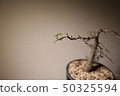 Dekari 50325594