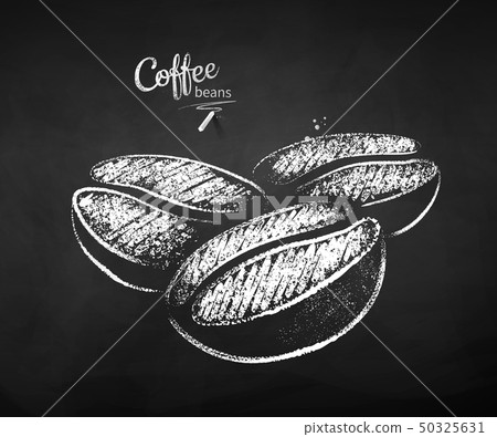 Black and white chalk sketch of coffee beans 50325631