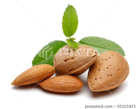 Group of almonds with leaves isolated on white Group of almonds with leaves isolated on white 50325925