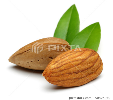 Group of almonds with leaves isolated on white 50325940