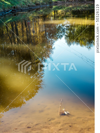 Tree display in a forest lake on a sunny day. Summer landscape. Forest by the river 50326119