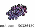 Grape  50326420