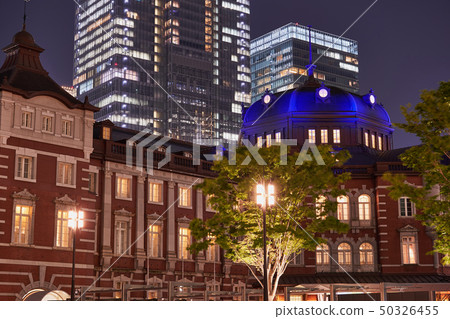Tokyo Station Station South Dome (Night view) 50326455