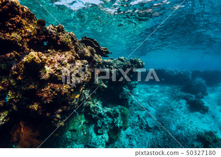 Underwater view with rocks and corals in blue sea 50327180