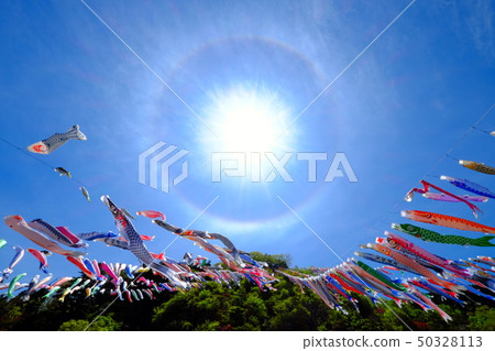 Koryu River Koinobori和Niwa 50328113
