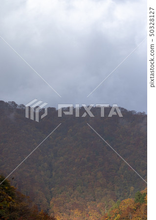 Shirakawago在霧包裹的秋葉 Shirakawago在霧包裹的秋葉 50328127