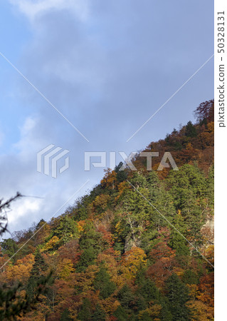 Shirakawago光亮的秋葉 Shirakawago光亮的秋葉 50328131