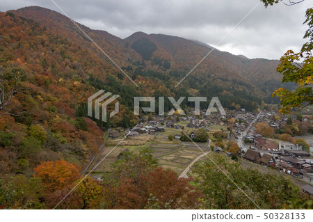 Shirakawago autumn leaves Shirakawago autumn leaves 50328133