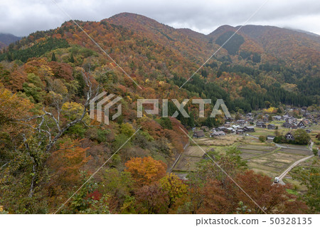 Shirakawago秋葉 Shirakawago秋葉 50328135