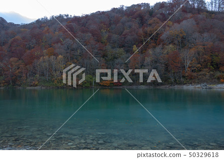 Unexplored Lake Shiromizuko and autumn leaves Unexplored Lake Shiromizuko and autumn leaves 50329618