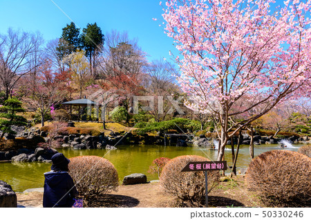 100 famous places of cherry blossoms-Sakurayama Park (Fujioka City, Gunma Prefecture) 50330246