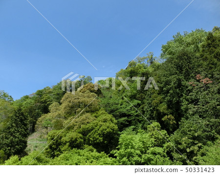 Chino Togawa Park, fresh green and blue sky (Kanno Chino City) Chino Togawa Park, fresh green and blue sky (Kanno Chino City) 50331423