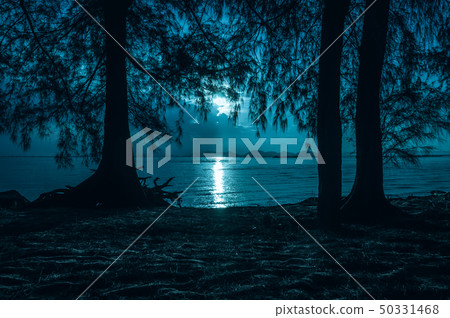 Night sky and moonlight behind silhouettes of 50331468