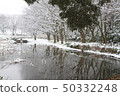 池塘里的雪 50332248