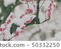 白雪皚皚的李子 50332250
