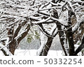 雪地 50332254