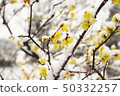 雪地 50332257