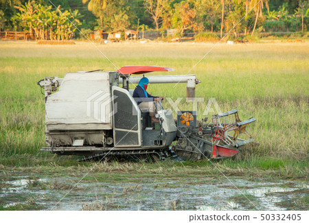 NAKHON PHANOM, THAILAND - NOV 18, 2018 50332405