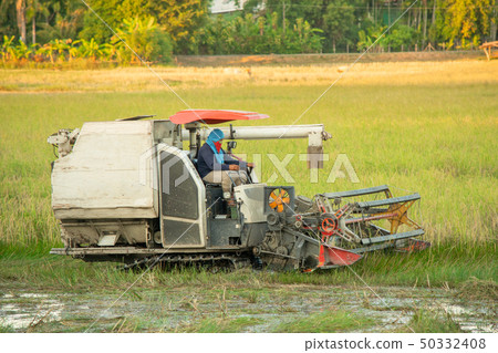 NAKHON PHANOM, THAILAND - NOV 18, 2018 50332408