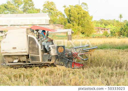 NAKHON PHANOM, THAILAND - NOV 18, 2018 NAKHON PHANOM, THAILAND - NOV 18, 2018 50333023