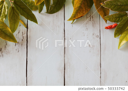 Back material wood grain hihatsu leaves 50333742