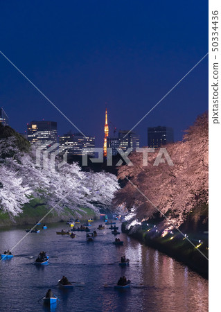 [Urban scenery] Chidorigafuchi light up 50334436